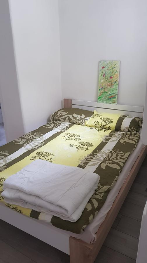 Vidicev Dvorec Apartment Radovljica Bagian luar foto